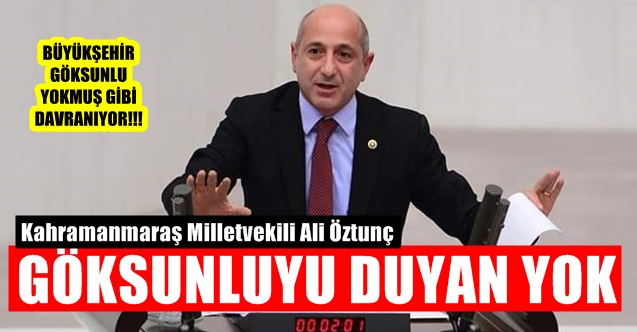 Milletvekili Ali Öztunç, Göksunluyu Duyan Yok!